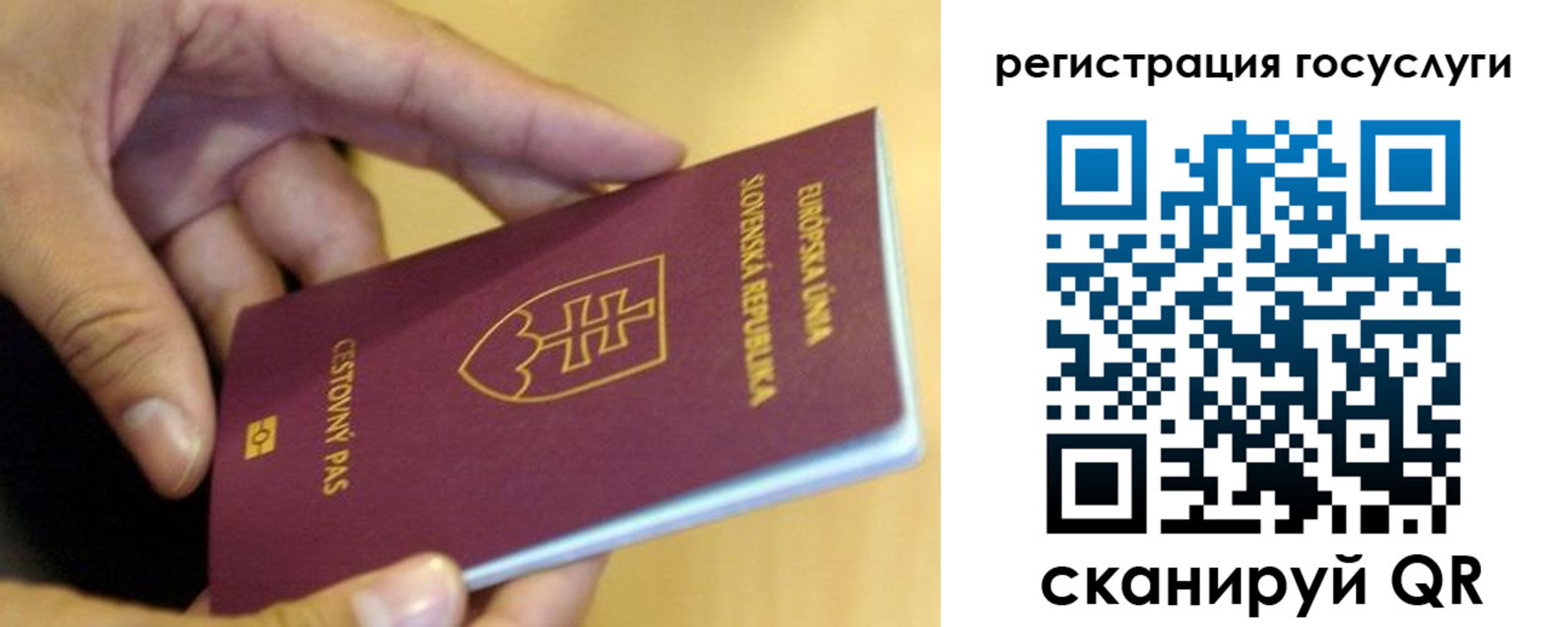 прописка в квартире в Гвардейске